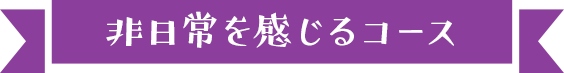 非日常を感じるコース